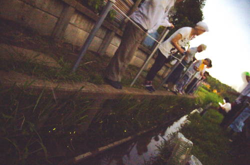 201408_hotaru.jpg