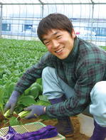 komatuna6.jpgのサムネール画像