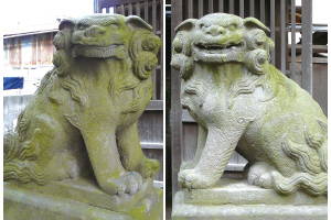 201301_komainu04a.jpg