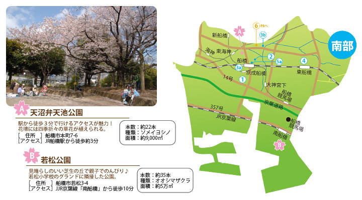 天沼弁天池公園・若松公園
