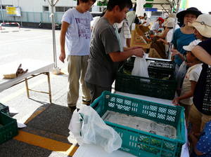 P1320372funabasiasaichi2.jpgのサムネール画像