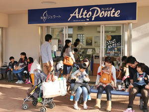 141117altoponte6.jpg