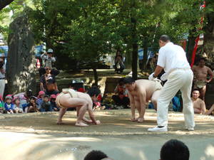 161025sumo04.jpg