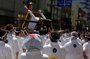 IMGP0239honchoumikoshi.jpg