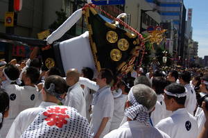 IMGP0249honshoumikoshi.jpg