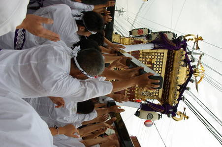 IMGP5473mikoshi.jpg