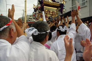 IMGP5543mikoshi.jpg