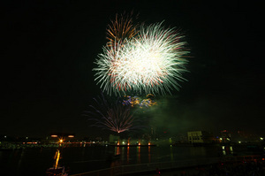 IMG_0085hanabi.jpg