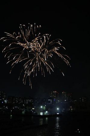 IMG_1036hanabi.jpg