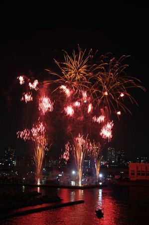 IMG_1167hanabi.jpg