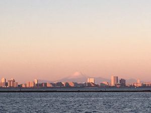IMG_2569sannraizu.jpg