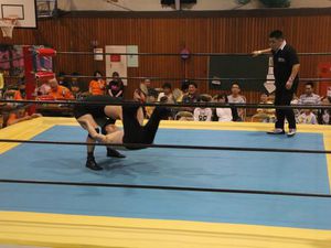 IMG_7622puroresu.jpg