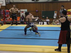 IMG_7708puroresu.jpg