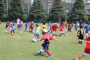 IMG_8024U-9soccer.jpg