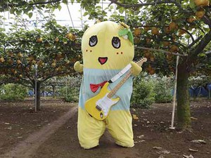 funassycdhanbai.jpg